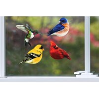 Bird Screen Door Savers - Lighten Up Shop