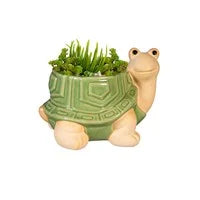 Ceramic Turtle Planter - Lighten Up Shop