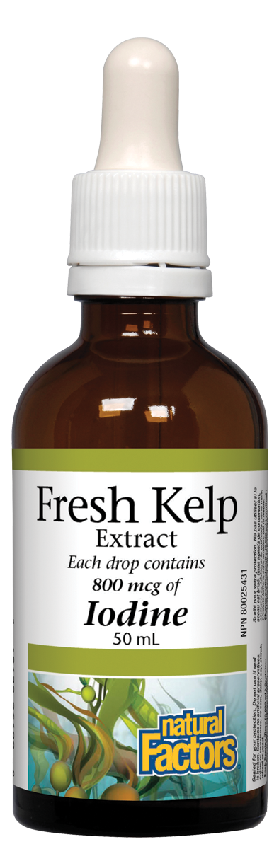 Fresh Kelp Iodine 50ml - Lighten Up Shop