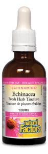 Echinacea Fresh Herb Tincture 100ml - Lighten Up Shop