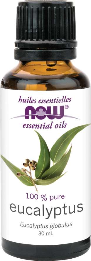 Eucalyptus Essential Oil 30ml - Lighten Up Shop
