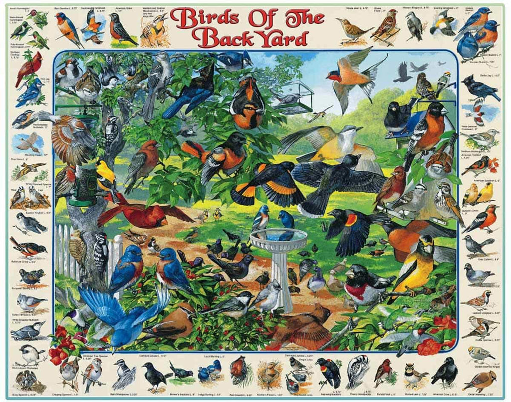 Birds of the Backyard Puzzle 1000pc - Lighten Up Shop